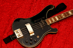 Jolana D-Bass (black)