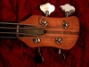 RK Bass. Голова грифа
